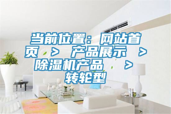 當(dāng)前位置：網(wǎng)站首頁 ＞ 產(chǎn)品展示 ＞ 除濕機產(chǎn)品  ＞ 轉(zhuǎn)輪型