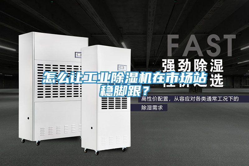 怎么讓工業(yè)除濕機(jī)在市場(chǎng)站穩(wěn)腳跟？