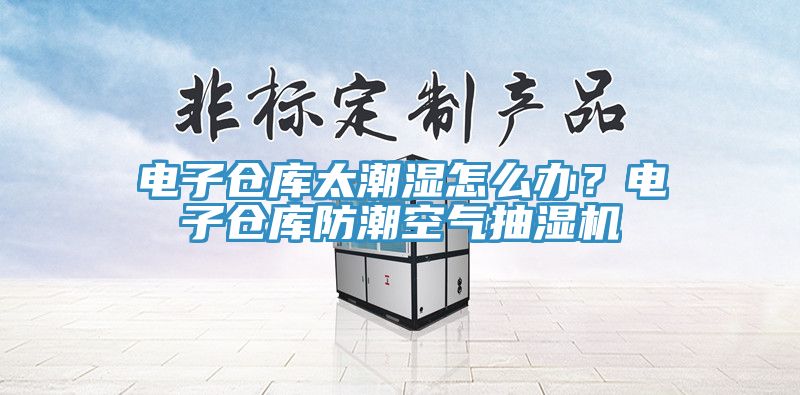 電子倉庫太潮濕怎么辦？電子倉庫防潮空氣抽濕機