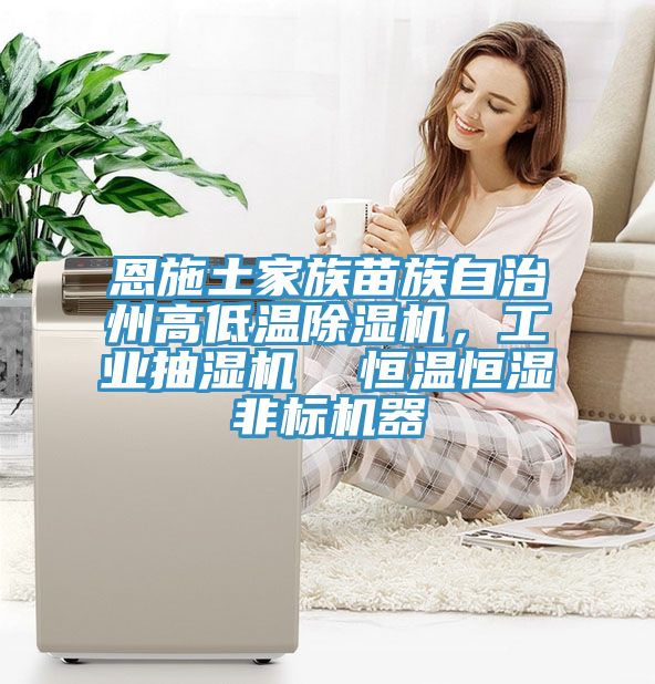 恩施土家族苗族自治州高低溫除濕機，工業(yè)抽濕機  恒溫恒濕非標機器