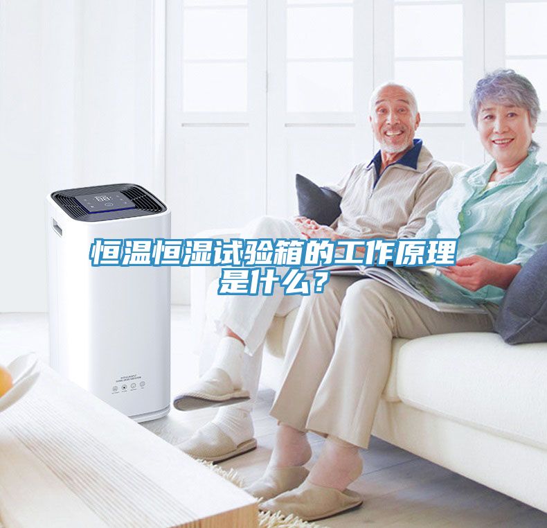 恒溫恒濕試驗(yàn)箱的工作原理是什么？