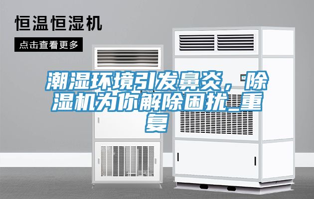 潮濕環(huán)境引發(fā)鼻炎，除濕機(jī)為你解除困擾_重復(fù)