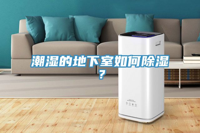 潮濕的地下室如何除濕？