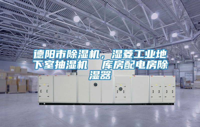 德陽市除濕機(jī)，濕菱工業(yè)地下室抽濕機(jī)  庫房配電房除濕器