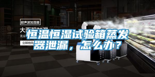 恒溫恒濕試驗箱蒸發(fā)器泄漏，怎么辦？