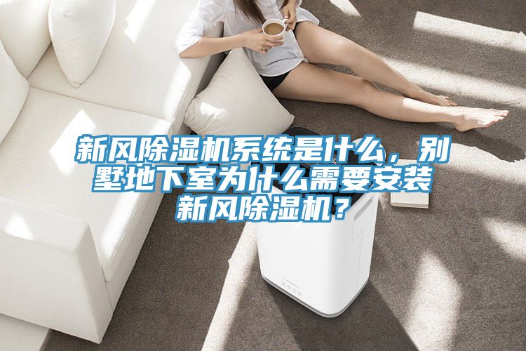 新風(fēng)除濕機系統(tǒng)是什么，別墅地下室為什么需要安裝新風(fēng)除濕機？