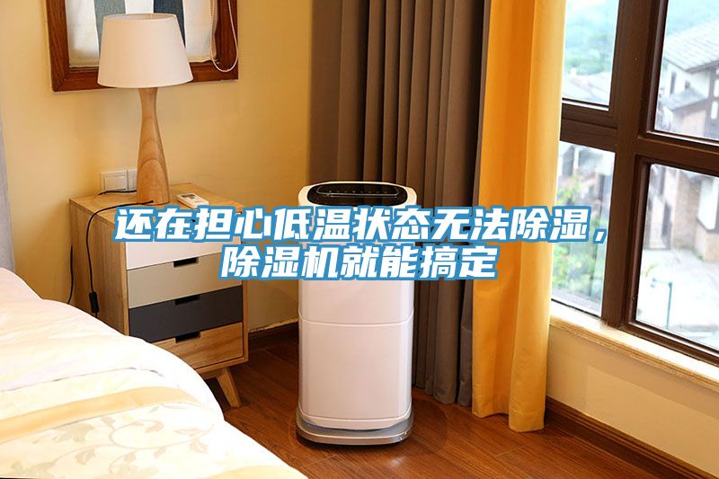 還在擔心低溫狀態(tài)無法除濕，除濕機就能搞定