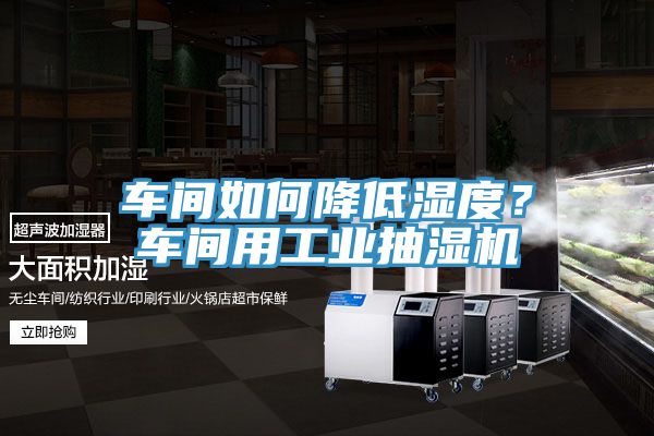 車間如何降低濕度？車間用工業(yè)抽濕機(jī)