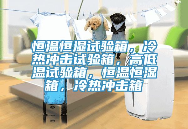 恒溫恒濕試驗箱，冷熱沖擊試驗箱，高低溫試驗箱，恒溫恒濕箱，冷熱沖擊箱
