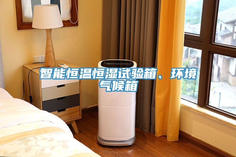 智能恒溫恒濕試驗(yàn)箱、環(huán)境氣候箱