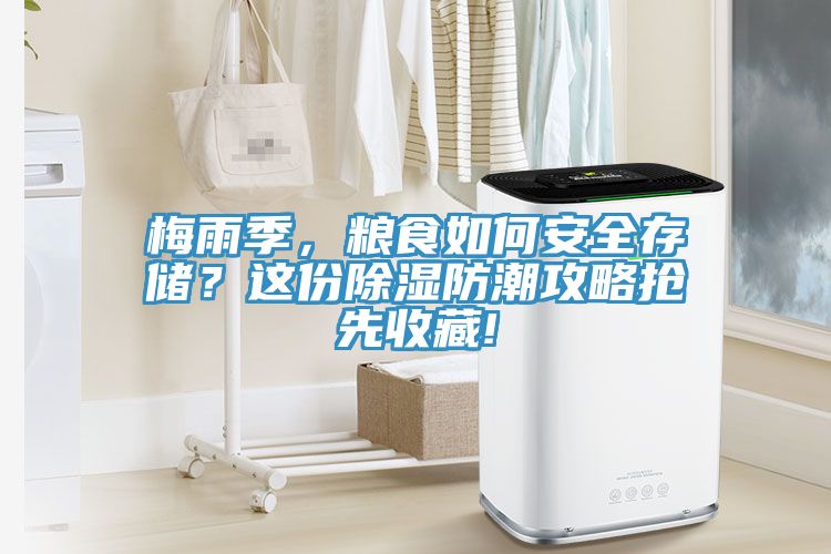 梅雨季，糧食如何安全存儲？這份除濕防潮攻略搶先收藏!