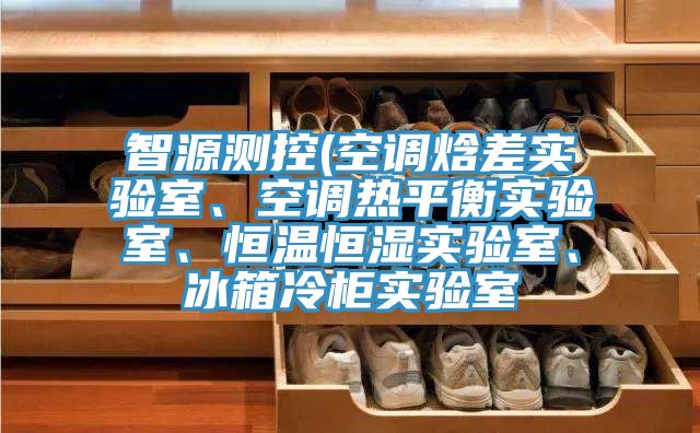 智源測(cè)控(空調(diào)焓差實(shí)驗(yàn)室、空調(diào)熱平衡實(shí)驗(yàn)室、恒溫恒濕實(shí)驗(yàn)室、冰箱冷柜實(shí)驗(yàn)室