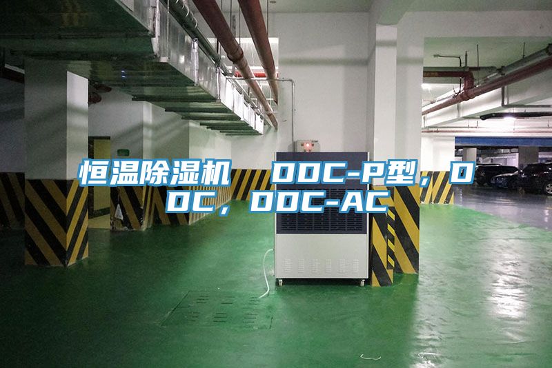 恒溫除濕機(jī)  DDC-P型，DDC，DDC-AC