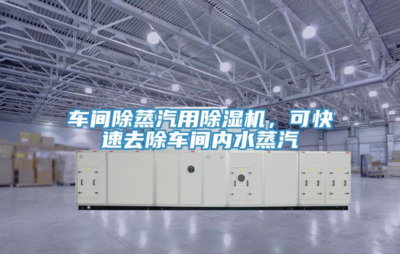 車間除蒸汽用除濕機(jī)，可快速去除車間內(nèi)水蒸汽