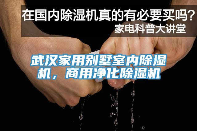 武漢家用別墅室內(nèi)除濕機(jī)，商用凈化除濕機(jī)