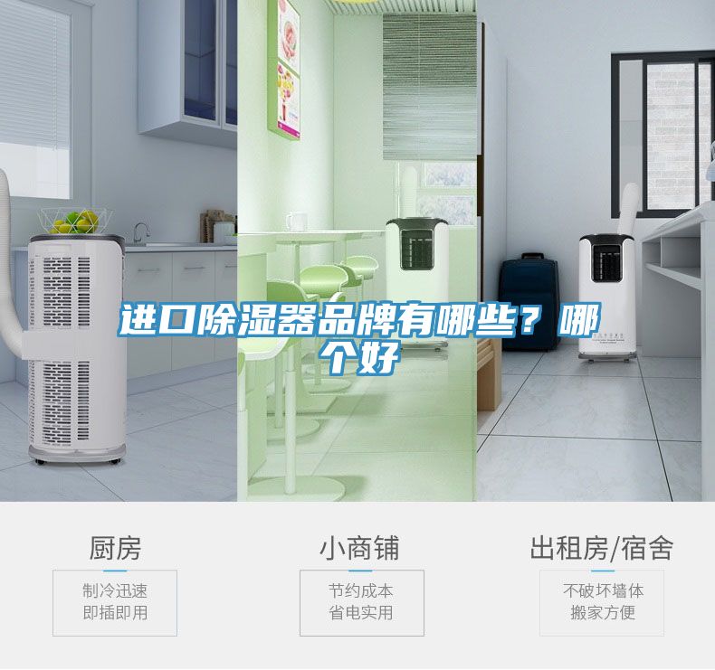 進(jìn)口除濕器品牌有哪些？哪個(gè)好