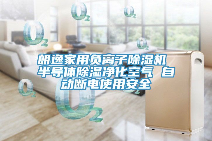 朗逸家用負(fù)離子除濕機 半導(dǎo)體除濕凈化空氣 自動斷電使用安全