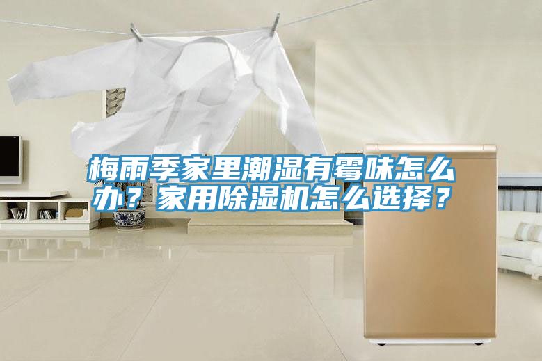 梅雨季家里潮濕有霉味怎么辦？家用除濕機(jī)怎么選擇？