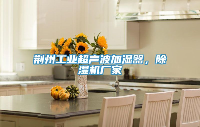 荊州工業(yè)超聲波加濕器，除濕機(jī)廠家