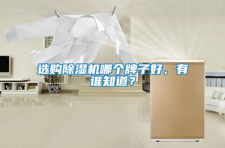選購(gòu)除濕機(jī)哪個(gè)牌子好，有誰(shuí)知道？