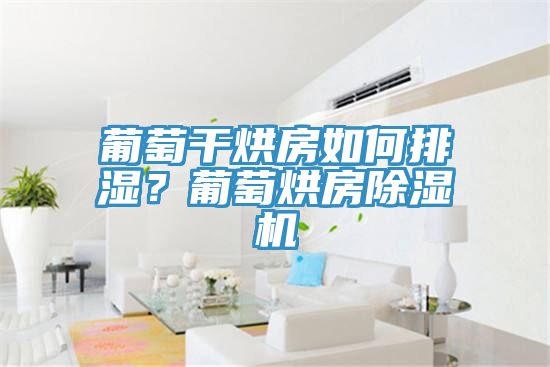葡萄干烘房如何排濕？葡萄烘房除濕機