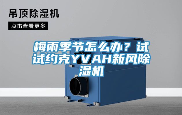 梅雨季節(jié)怎么辦？試試約克YVAH新風(fēng)除濕機(jī)