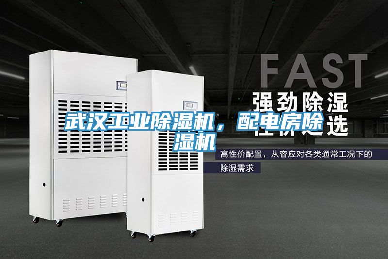 武漢工業(yè)除濕機(jī)，配電房除濕機(jī)