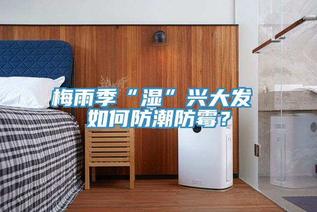 梅雨季“濕”興大發(fā) 如何防潮防霉？
