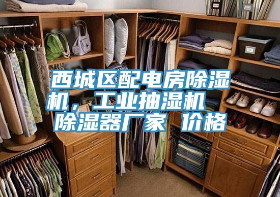 西城區(qū)配電房除濕機(jī)，工業(yè)抽濕機(jī)  除濕器廠家 價(jià)格