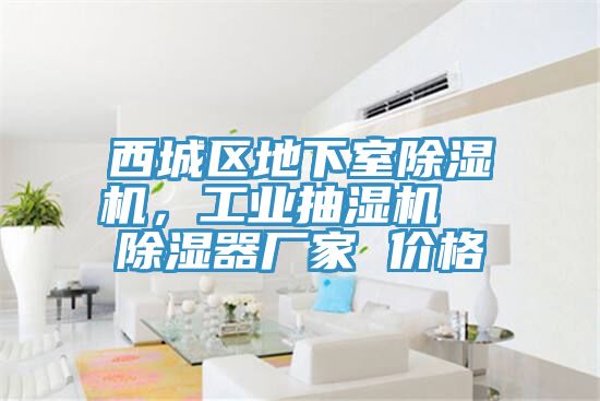 西城區(qū)地下室除濕機(jī)，工業(yè)抽濕機(jī)  除濕器廠家 價(jià)格