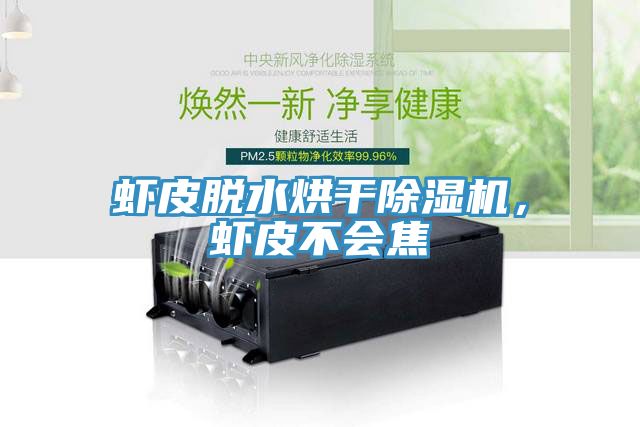 蝦皮脫水烘干除濕機，蝦皮不會焦