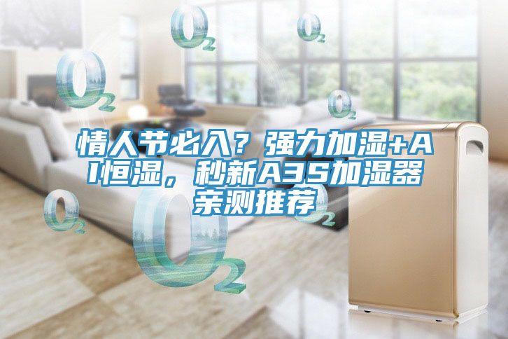 情人節(jié)必入？強力加濕+AI恒濕，秒新A3S加濕器親測推薦