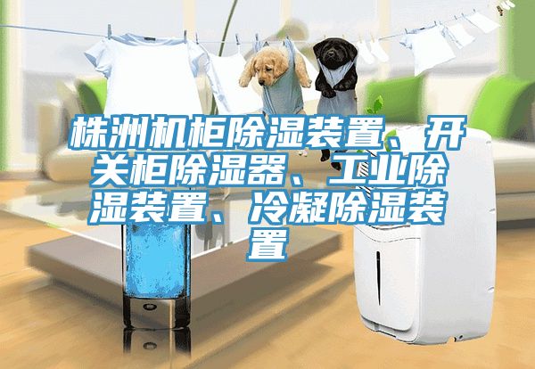株洲機(jī)柜除濕裝置、開關(guān)柜除濕器、工業(yè)除濕裝置、冷凝除濕裝置