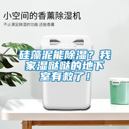 硅藻泥能除濕？我家濕噠噠的地下室有救了！