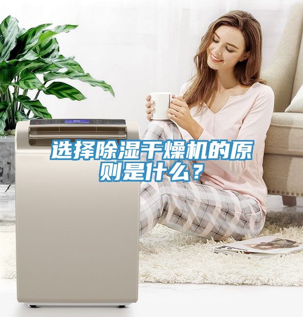 選擇除濕干燥機的原則是什么？