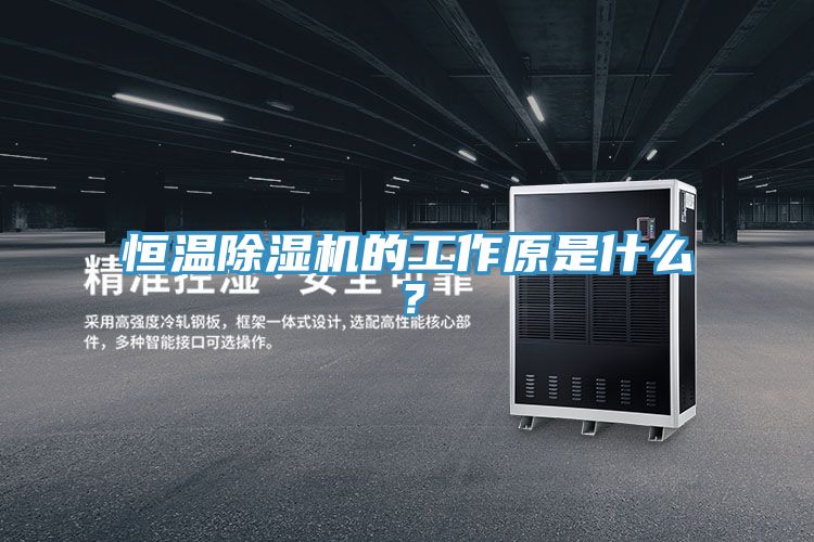 恒溫除濕機(jī)的工作原是什么？