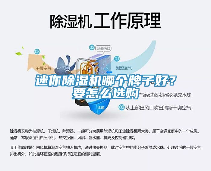 迷你除濕機(jī)哪個(gè)牌子好？要怎么選購(gòu)