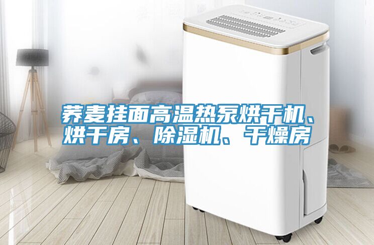 蕎麥掛面高溫?zé)岜煤娓蓹C(jī)、烘干房、除濕機(jī)、干燥房