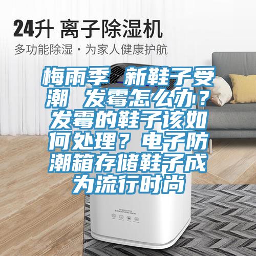 梅雨季 新鞋子受潮 發(fā)霉怎么辦？發(fā)霉的鞋子該如何處理？電子防潮箱存儲(chǔ)鞋子成為流行時(shí)尚