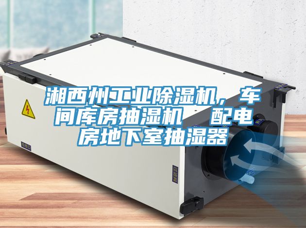湘西州工業(yè)除濕機，車間庫房抽濕機  配電房地下室抽濕器