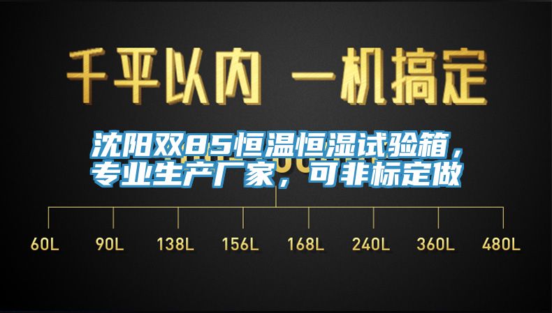 沈陽(yáng)雙85恒溫恒濕試驗(yàn)箱，專業(yè)生產(chǎn)廠家，可非標(biāo)定做