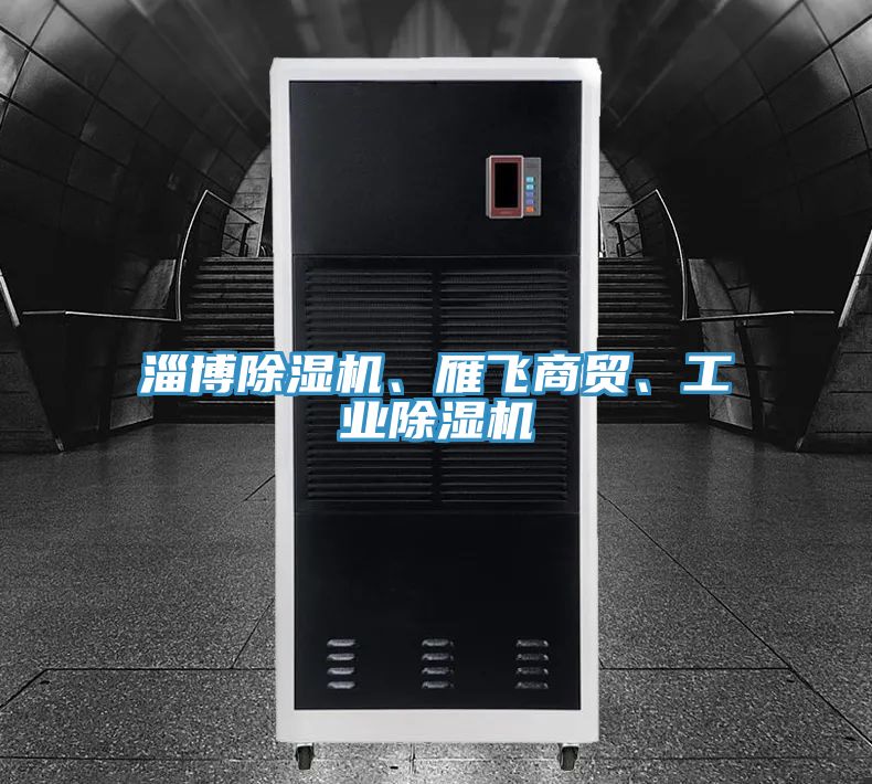 淄博除濕機(jī)、雁飛商貿(mào)、工業(yè)除濕機(jī)
