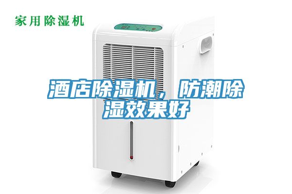 酒店除濕機(jī)，防潮除濕效果好