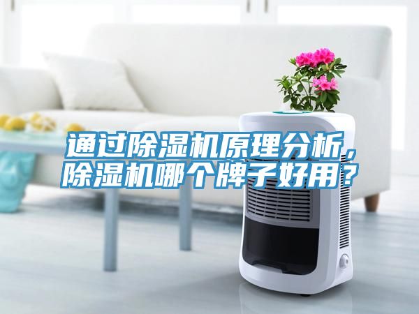 通過除濕機(jī)原理分析，除濕機(jī)哪個(gè)牌子好用？