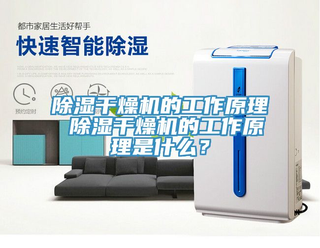除濕干燥機的工作原理 除濕干燥機的工作原理是什么？