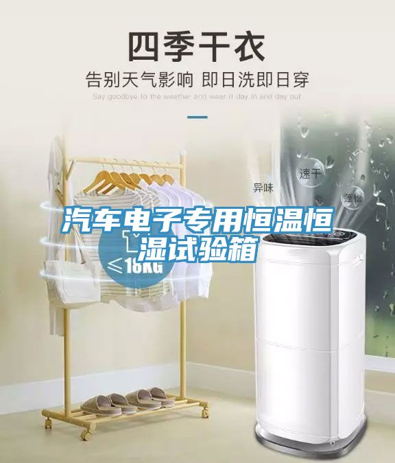 汽車(chē)電子專(zhuān)用恒溫恒濕試驗(yàn)箱