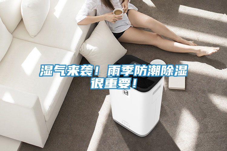 濕氣來襲！雨季防潮除濕很重要！