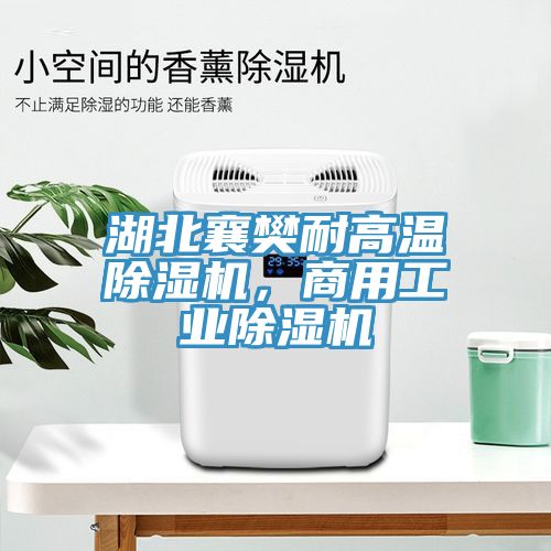 湖北襄樊耐高溫除濕機，商用工業(yè)除濕機