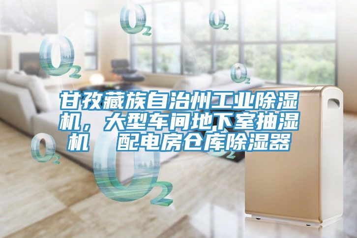 甘孜藏族自治州工業(yè)除濕機，大型車間地下室抽濕機  配電房倉庫除濕器
