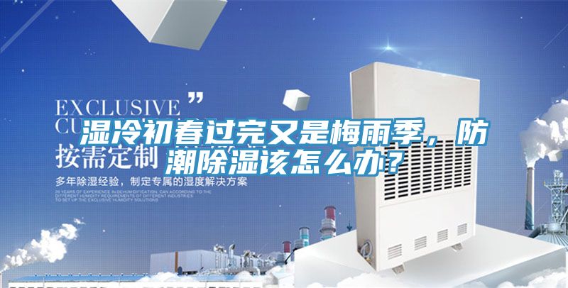 濕冷初春過完又是梅雨季，防潮除濕該怎么辦？